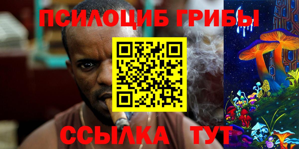 Псилоцибиновые грибы Psilocybine cubensis  Вход с VPN  Димитровград 